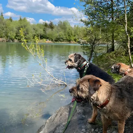 Daire Frankenblick Frankenau