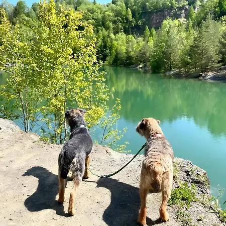 Frankenblick Daire Frankenau