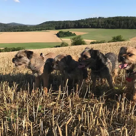 Frankenblick Frankenau