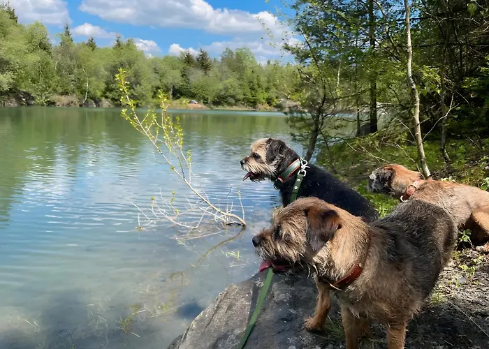 公寓 Frankenblick Frankenau