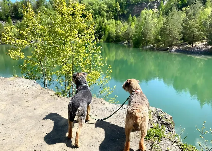 Frankenblick Apartman Frankenau