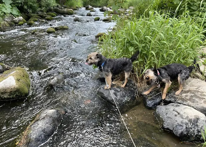 公寓 Frankenblick *