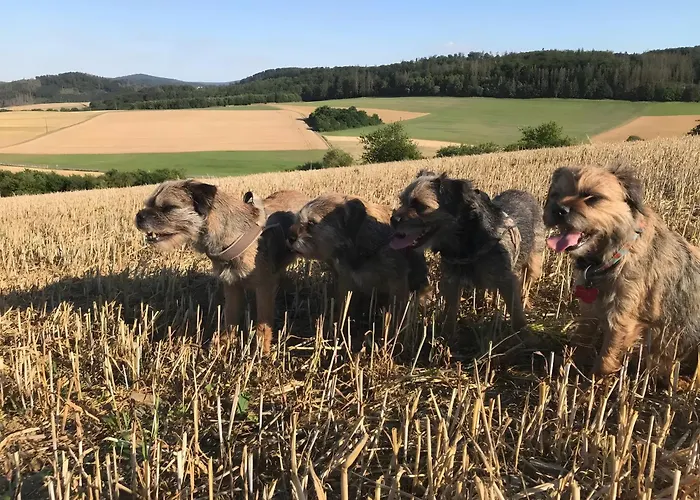 Frankenblick Frankenau